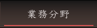 Ɩ